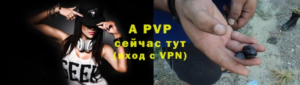 apvp Нея