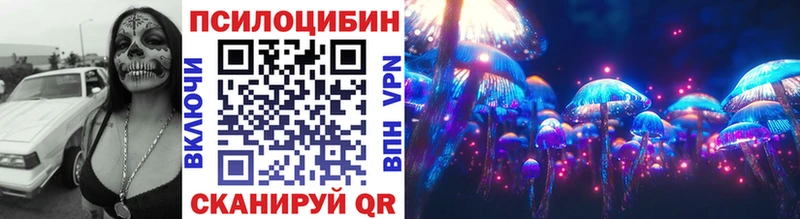 наркота  Шуя  Галлюциногенные грибы Cubensis 