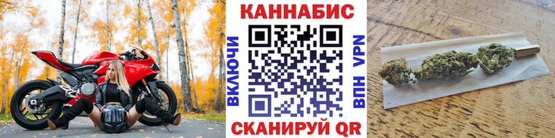mega   Шуя  Бошки Шишки гибрид 